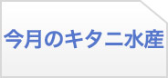 今月のキタニ水産