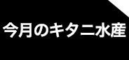 今月のキタニ水産