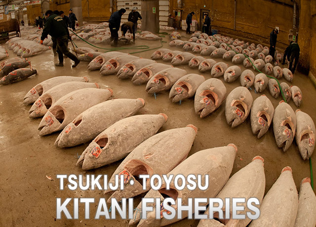 TSUKIJI Kitani Suisan