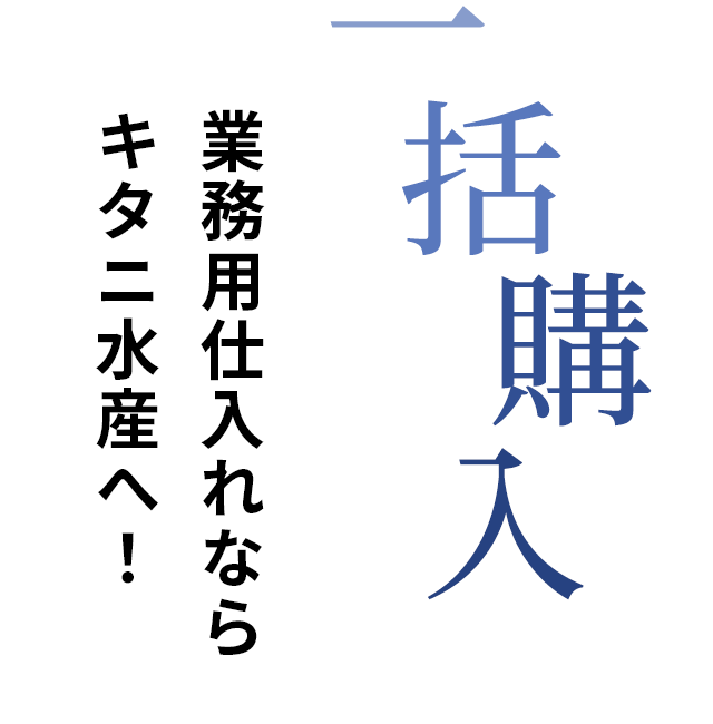 一括購入