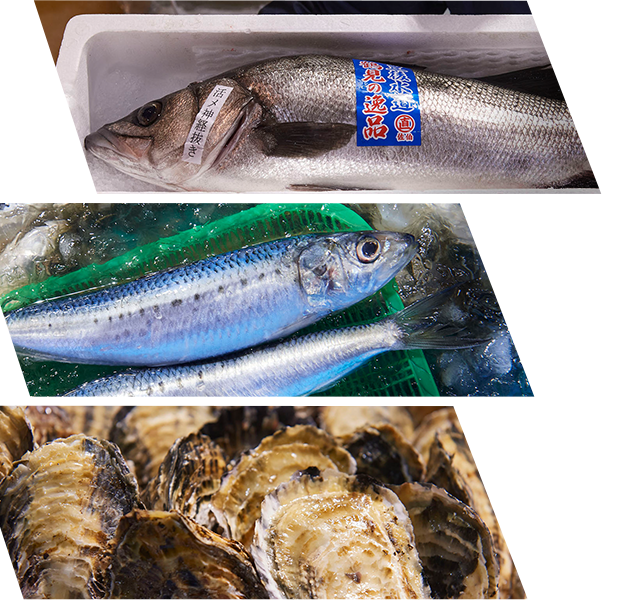マグロだけじゃない！！