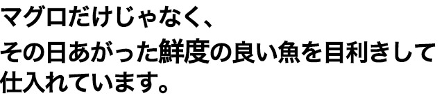 マグロだけじゃなく、その日あがった鮮度の良い魚を目利きして仕入れています